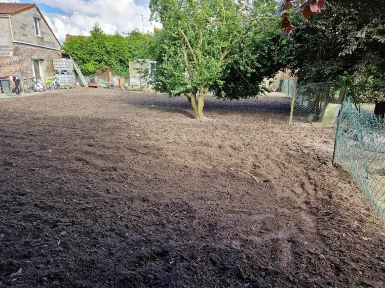 Abattage d'arbres et Semence de pelouse dans un jardin de maison à Billy Berclau, Auchel, Delepine Entreprise