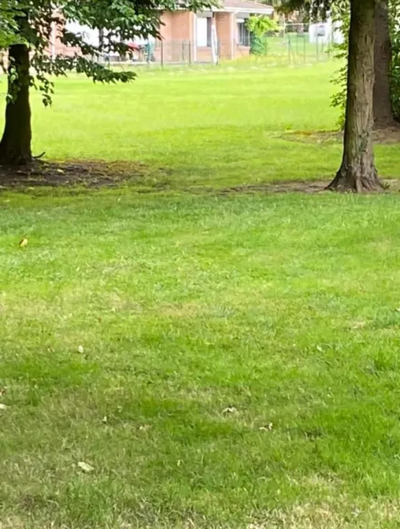 Tonte de pelouse parc d'une maison de retraite à Bruay la Buissière, Auchel, Delepine Entreprise