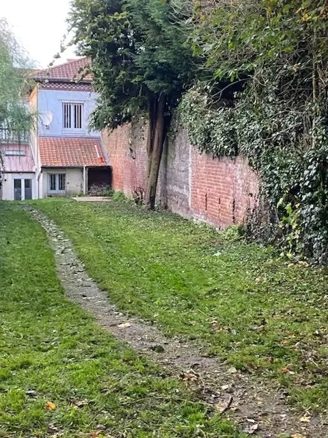 Taille de haie et entretien d'un terrain à Auchel, Auchel, Delepine Entreprise