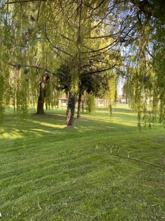 Tonte de pelouse à Bruay la Buissière, Auchel, Delepine Entreprise