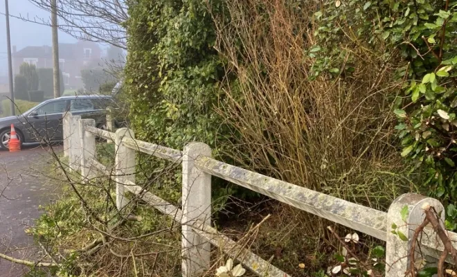 Taille de haie à Auchel, Auchel, Delepine Entreprise