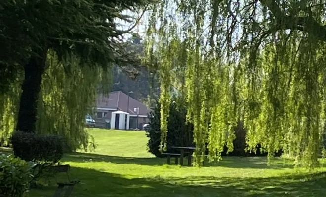 Tonte de pelouse à Bruay la Buissière, Auchel, Delepine Entreprise