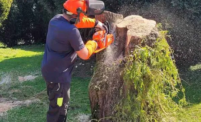 Élagage/Abattage d'arbres, Auchel, Delepine Entreprise