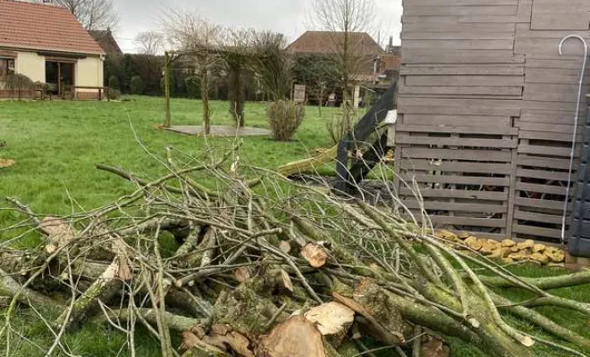 Élagage/Abattage d'arbres, Auchel, Delepine Entreprise