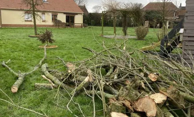 Élagage/Abattage d'arbres, Auchel, Delepine Entreprise