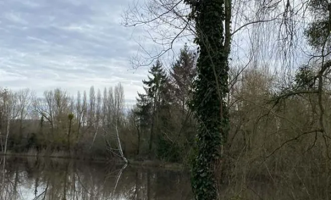 Élagage/Abattage d'arbres, Auchel, Delepine Entreprise
