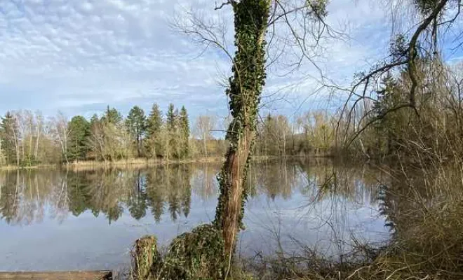 Élagage/Abattage d'arbres, Auchel, Delepine Entreprise