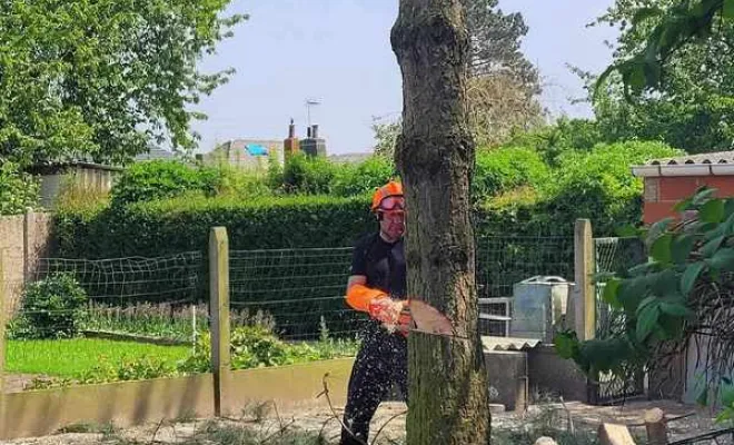 Élagage/Abattage d'arbres, Auchel, Delepine Entreprise
