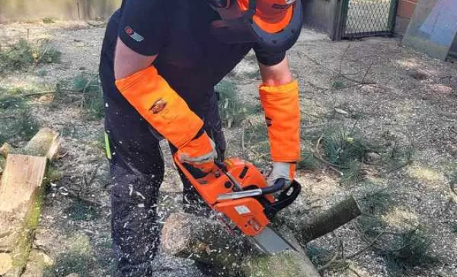 Élagage/Abattage d'arbres, Auchel, Delepine Entreprise