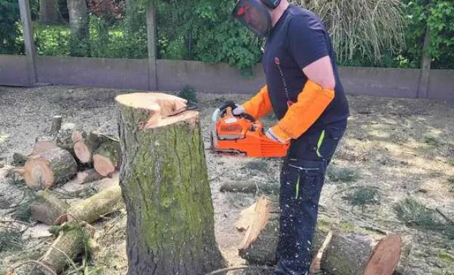 Élagage/Abattage d'arbres, Auchel, Delepine Entreprise