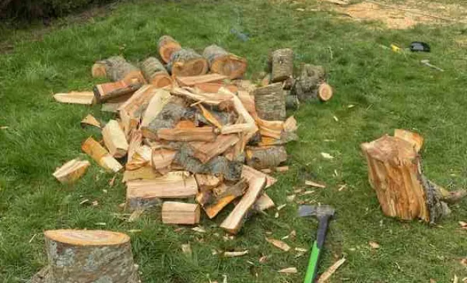 Élagage/Abattage d'arbres, Auchel, Delepine Entreprise